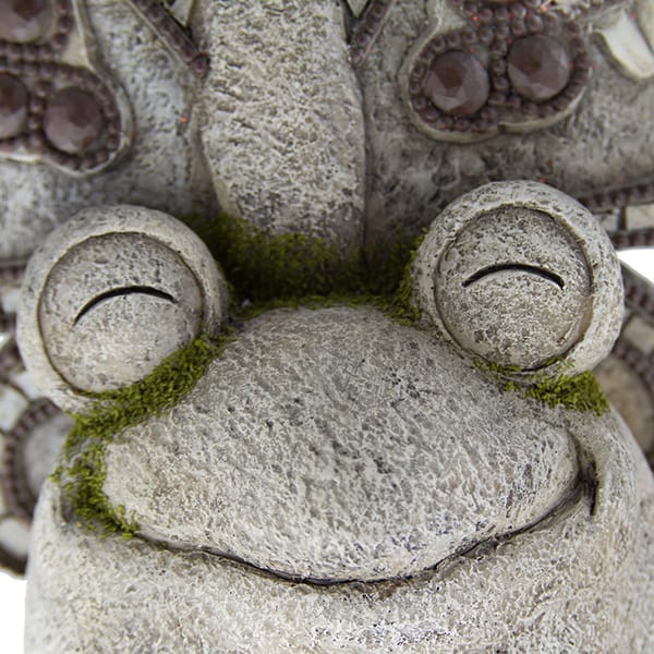 Frog Statue eye