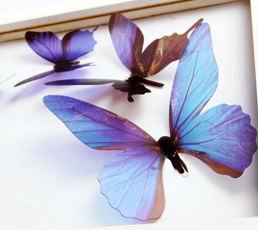Butterfly Sticker Decor