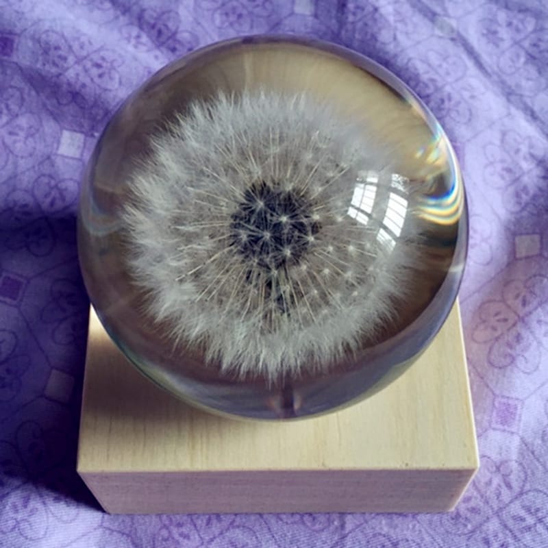 dandelion globe with base